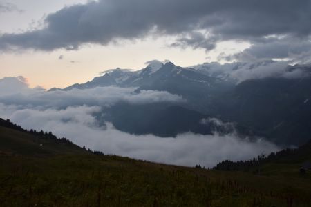 Random Image 24