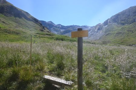 Random Image 12